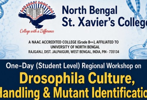 Final Workshop Brochure_page-00011 (1)